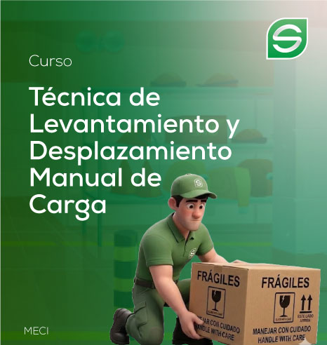 Levantamiento de Cargas