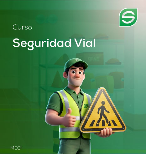 Seguridad Vial